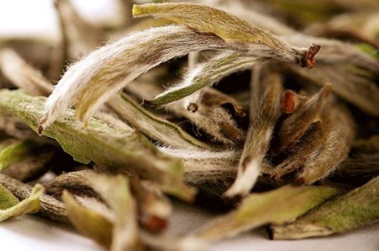 荒野銀針有什么特點(diǎn)，荒野銀針的味道口感咋樣？