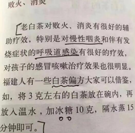 老白茶上火還是去火？夏季喝煮的老白茶會容易上火！