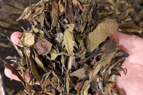 新舊白茶怎么區(qū)分，怎么分辨白茶是新還是舊