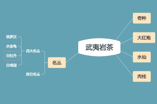 武夷巖茶品種大全，巖茶有幾種？