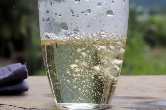 三年白茶賽砒霜，這是真的嗎？