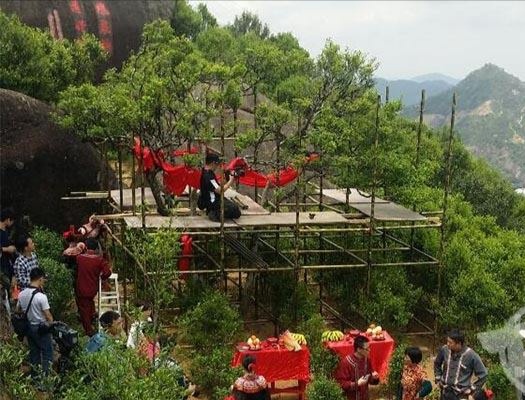 宋種一號價值為什么高，鳳凰單樅宋種1號價格與產(chǎn)量多少？