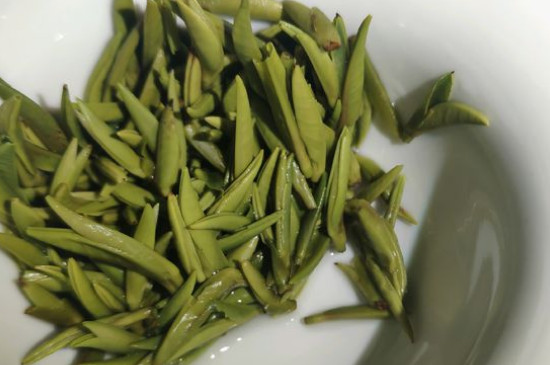 竹葉青茶怎么泡，竹葉青如何沖泡