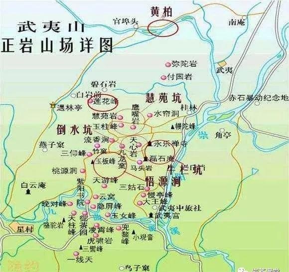 肉桂茶和大紅袍哪個貴，武夷山肉桂與大紅袍的價格比較