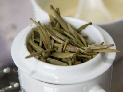 白茶煮好還是泡好喝，老白茶是泡還是煮？