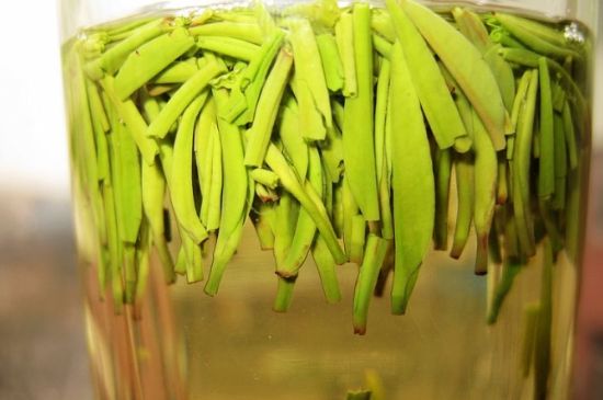 雀舌為何喝著是苦的，雀舌味道怎么那么苦澀？