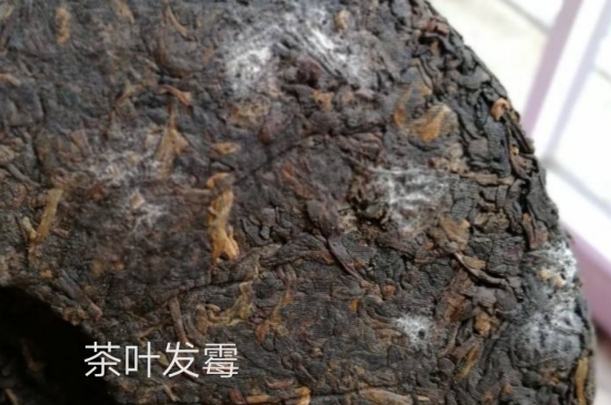 西湖龍井茶毫和發(fā)霉區(qū)別圖片，長霉的龍井茶葉會是什么樣？